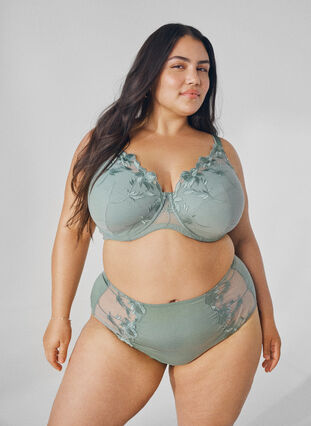 Zizzi Slip hipster avec broderie et taille régulière., Iceberg Green, Image image number 0